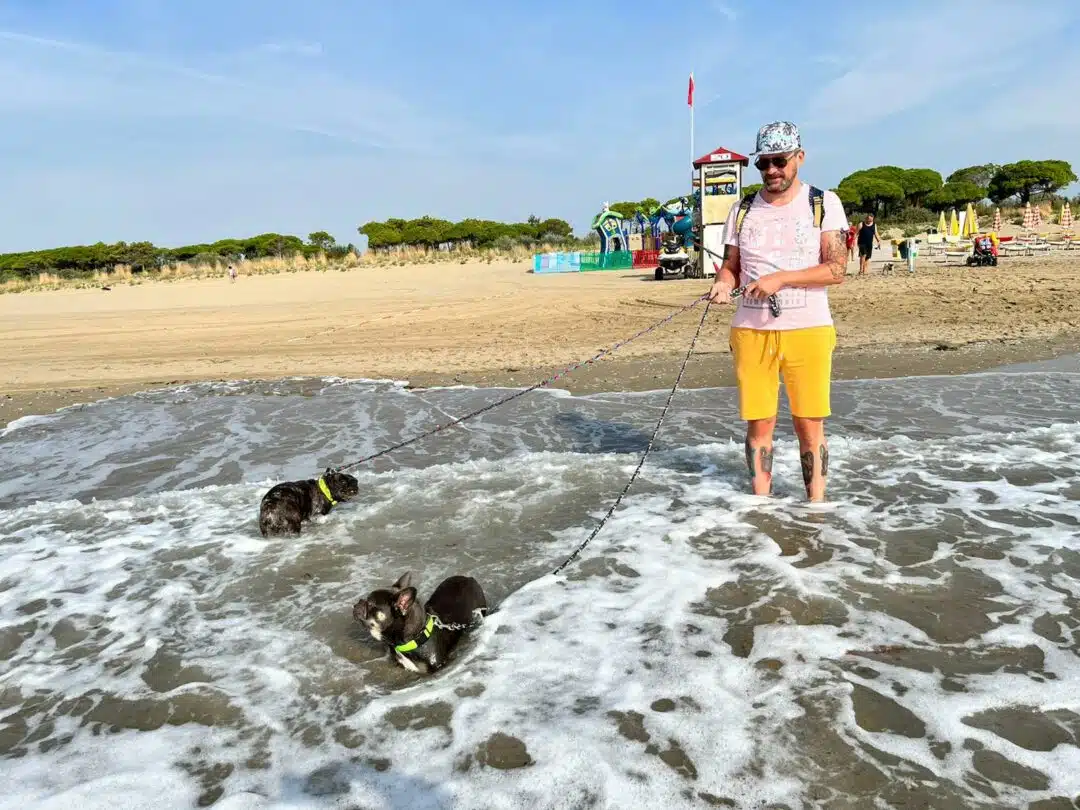 Urlaub pur im Union Lido Dog Camp