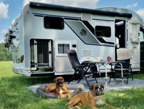 CamperDogs - Magazin für Camping mit Hund