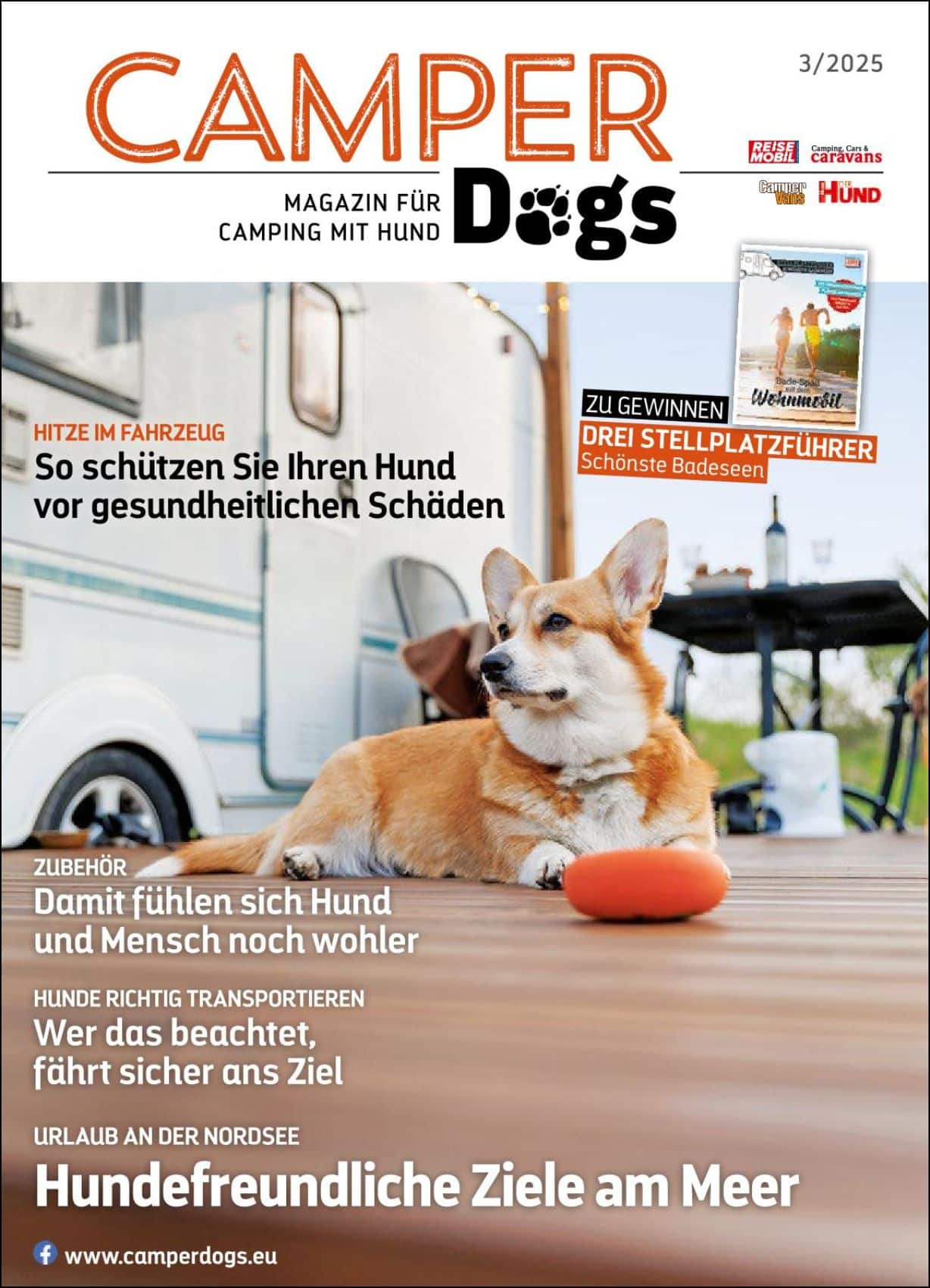 Camper-Dogs 3/25