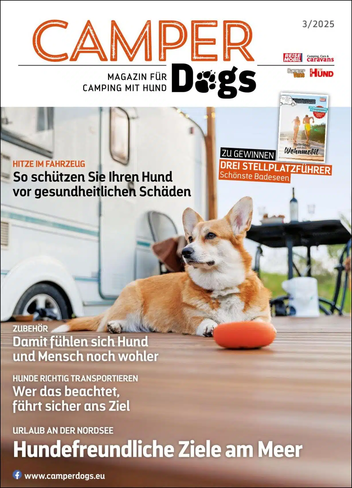 Camper-Dogs 3/25
